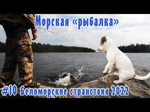 Видео: #10 Морская "рыбалка" | Беломорские странствия 2022