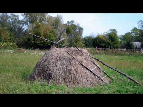 Видео: Павло Мрежук  (Минає літо)