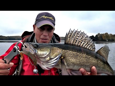 Видео: Судак в октябре 2020. Хороший день, хорошая погода. КЛЁВ!