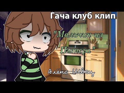 Видео: [Гача клуб клип] "Мальчик из Питера" Алёна Швец