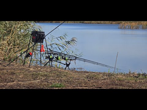 Видео: Рыбалка с очередной баранкой...