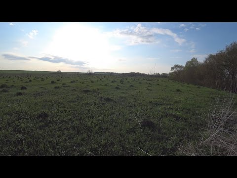 Видео: Майский голавль на Оке. Рыбалка в Орловской области. День 2