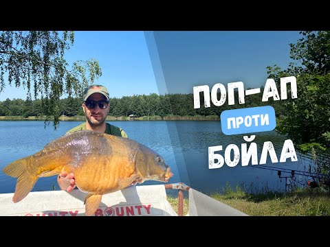 Видео: РИБАЛКА НА КАРПА: великі чи маленькі приманки – яка стратегія краща? БОЙЛ ЧИ ПОП-АП? Озеро Баунті