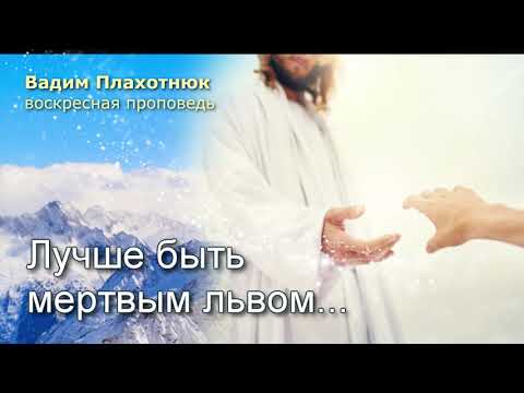 Видео: Вадим Плахотнюк: Лучше быть мертвым львом