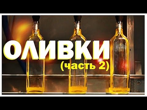 Видео: Галилео. Оливки (часть 2) | Соус песто