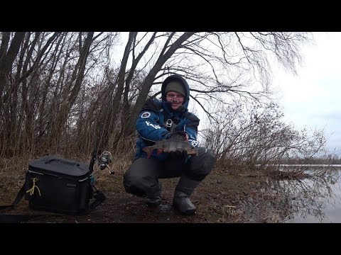 Видео: Риболовля. Чудовий зимній вокунь 2025 🐳🐳🐳