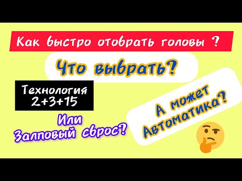 Видео: Почему раньше этого не делал? Кажется Я нашел для себя метод отбора голов.