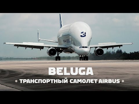 Видео: Airbus Beluga. Некрасив, но эффективен. Теперь и XL