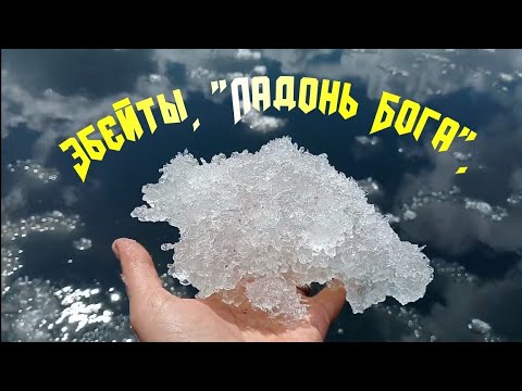 Видео: Эбейты. Путешествие на озеро. Омская область.