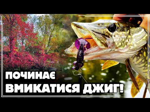 Видео: ✅️ ЩУКА на ДЖИГ ‼️ Почався АКТИВНИЙ КЛЬОВ ЩУКИ на СИЛІКОН 🎣🔥 Сплав по річці ПСЕЛ в ЗОЛОТУ ОСІНЬ🍂🍁