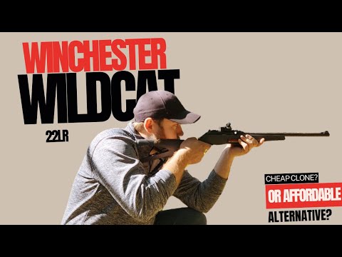 Видео: Обзор Winchester Wildcat 22LR