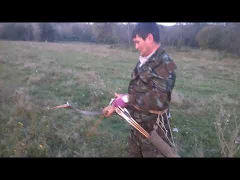 Видео: Лук рессора,арматура.Замер на дистанцию 2,Сосна,клен,береза.Стрелы с оперением.