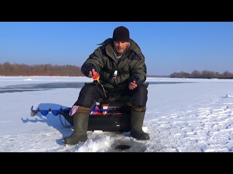Видео: Просто Сказка! Зимняя Рыбалка 1 Марта на Оке 2025!