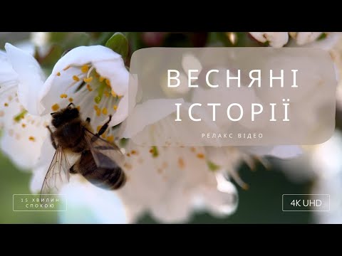 Видео: Краса весняного саду в одному відео - 15 хвилин розслаблення та спокою під фортепіанну музику