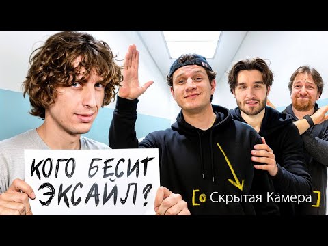 Видео: Проверил Блогеров На Человечность ! Кто Крыса ?