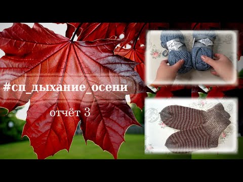 Видео: СП Дыхание осени / Отчёт 3 / Участник 31 #сп_дыхание_осени #сп_дыхание_осени_отчет3