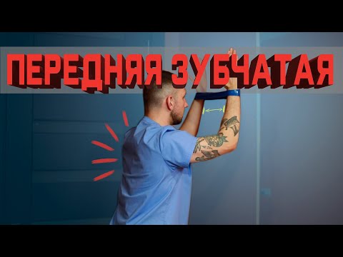 Видео: Как натренировать переднюю зубчатую мышцу? | Разбор Упражнений