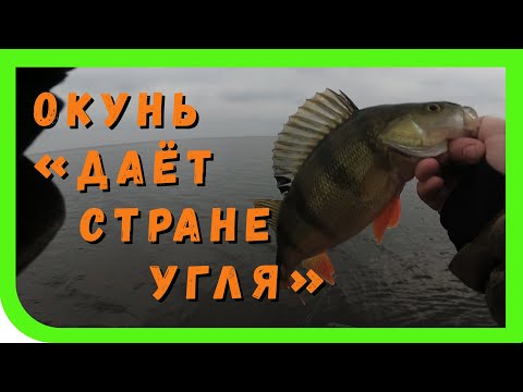 Видео: Ловля окуня и щуки. Ладога, Назия