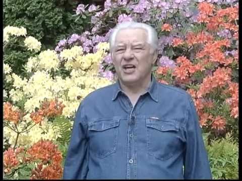 Видео: rhodo.ru - Подмосковные рододендроны