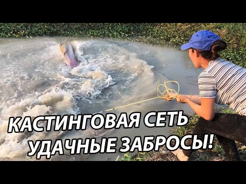 Видео: Рыбалка Кастинговой Сетью! Лучшие забросы!