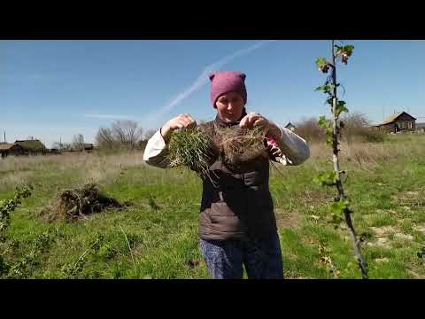 Видео: Купила дом в деревне. Огородные работы в полном разгаре.