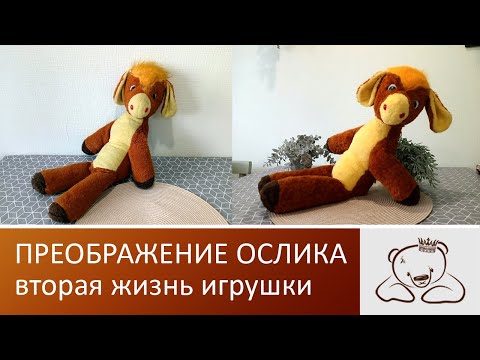 Видео: Новая жизнь пятого ослика из СССР