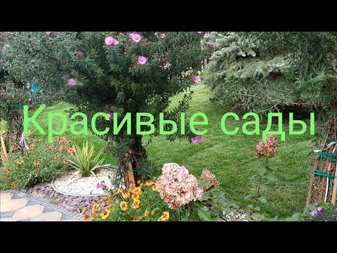 Видео: Ландшафтный дизайн