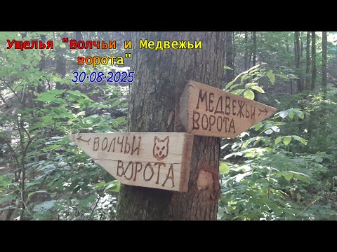 Видео: Ущелья «Волчьи и Медвежьи ворота» /30.08.2025/