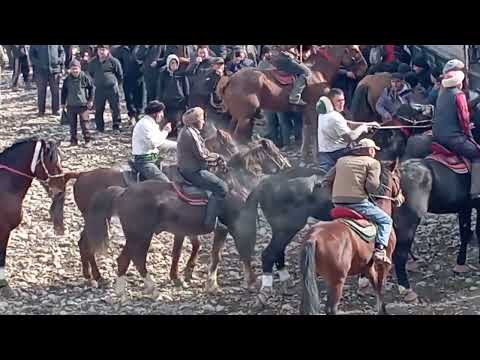 Видео: Бузкашии н.Истаравшан д.Навобод