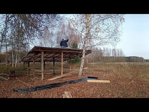 Видео: Заброшенная Белорусская деревня без домов, но теперь здесь Раздолье для Животных...