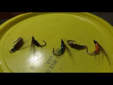 Видео: Пять мух на Зун-мурино