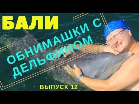 Видео: Bali/ купание с дельфинами/ Они умные и классные/Индонезия 12 выпуск