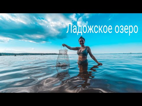 Видео: Ладожское озеро. Рыбалка и кемпинг на Ладоге. Походная баня в лесу