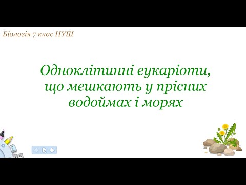 Видео: Біологія 7 клас НУШ Одноклітинні еукаріоти, що мешкають у прісних водоймах і морях