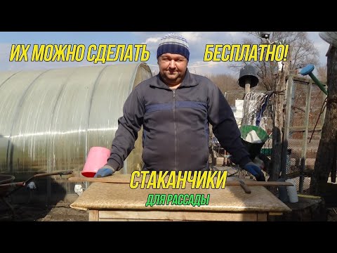 Видео: Супер стаканчики для рассады почти бесплатно | вторая жизнь полиэтиленовой пленки