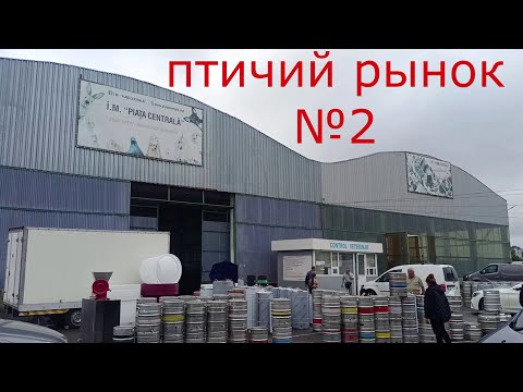 Видео: агрорынок или птичий рынок №2