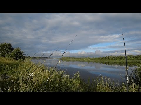 Видео: Рыбалка с шикарными видами. ПОЙМАЛ СОМА. Рыбалка с ночевкой.