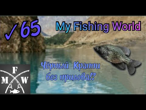 Видео: 65)My Fishing World Чёрный краппи без прилова!?