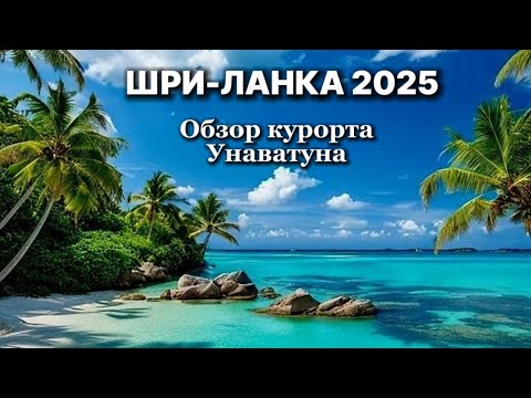 Видео: ШРИ-ЛАНКА 2025 | Унаватуна - лучший курорт | Обзор отеля, пляж, еда, цены | Пляж Джангл Бич