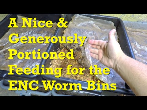 Видео: 214-дневные контейнеры для червей ENC получают хорошее питание и мягкую подстилку - вермикомпост
