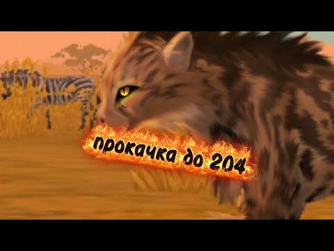 Видео: ~|Прокачка гепарда до 204 лвла + Мистический скин на Волка🤫