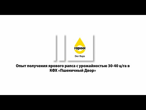 Видео: Опыт получения ярового рапса с урожайностью 30-40 ц/га в КФХ «Пшеничный Двор»