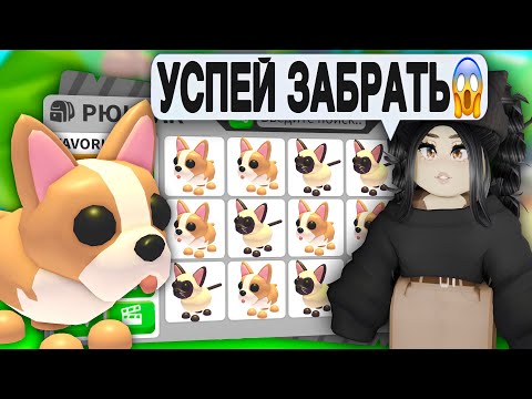 Видео: ШОК😱Успей получить НОВЫХ ПЕТОВ Адопт Ми! НОВОЕ ОБНОВЛЕНИЕ АДОПТ МИ - HOMEPASS ПРОКАЧКА С НУЛЯ ТРЕЙДЫ