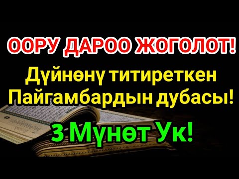 Видео: БУЛ ДУБА МЕНЕН ООРУ ДАРОО ЖОГОЛОТ – 3 Мүнөт Ук!