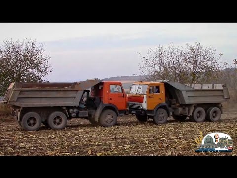 Видео: ДУШЕВНАЯ ПЕСНЯ ПРО КАМАЗ!Всем камазистам и дальнобойщикам!