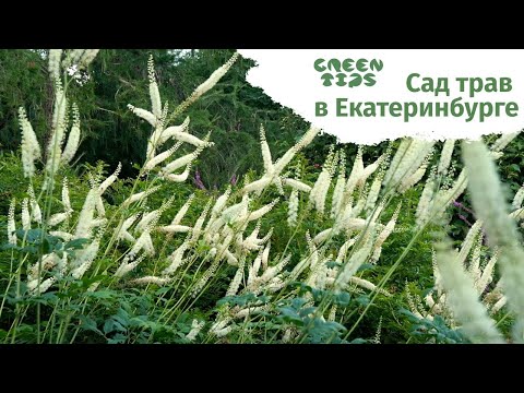 Видео: Сад трав в Екатеринбурге