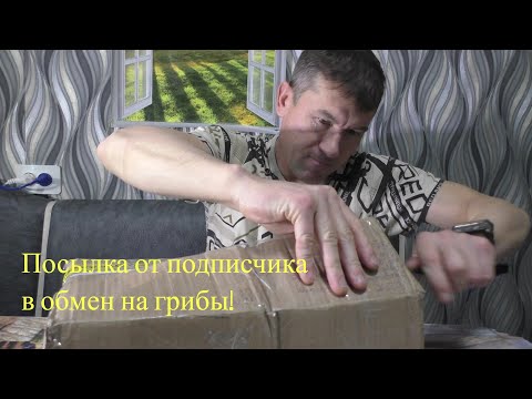 Видео: Посылка от подписчика в обмен на грибы! Сделал простой и вкусный рулет!