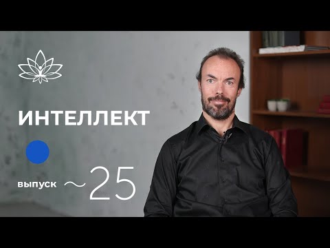 Видео: Межбровный центр, часть 2. Выпуск 25. Школа Долгой Жизни Михаила Советова.
