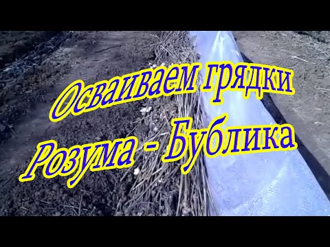 Видео: Осваиваем грядки Розума - Бублика