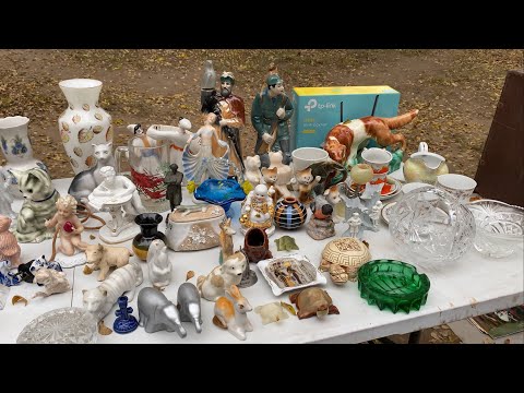 Видео: ЗАПОРОЖЬЕ | Малый рынок БАРАХОЛКА зоорынок 9 ноября 2025 г.